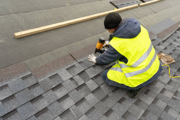 Best Roof Insulation Installation  in Beechwood, MI